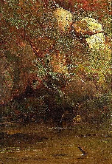 Albert Bierstadt Ferns_and_Rocks_on_an_Embankment oil painting image
